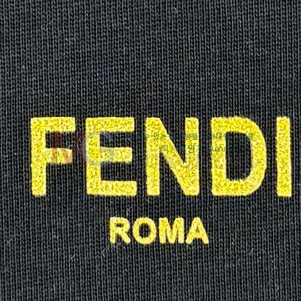  Ƽ  11FE39921