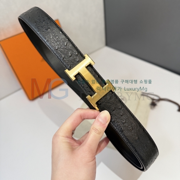 ޽ Ʈ HH1945663-1