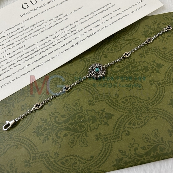   GG558680-1