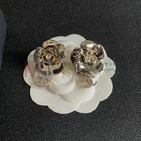  Ͱ G12251661