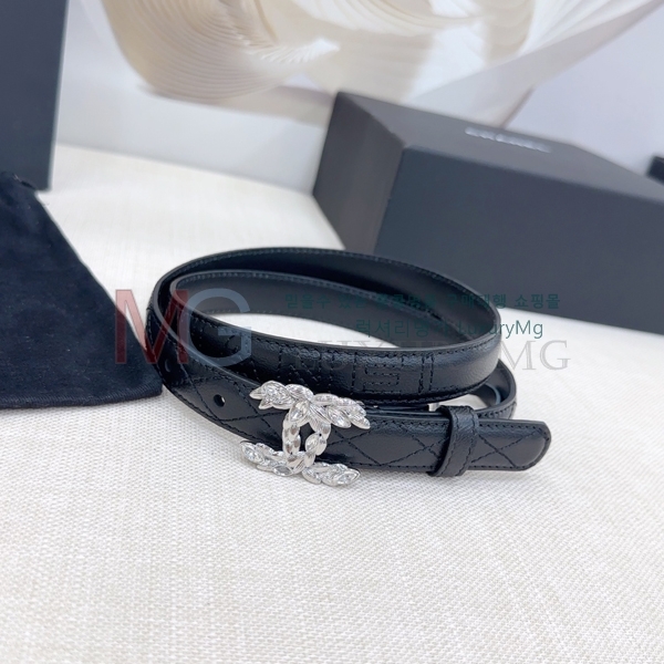  * Ʈ  2cm CH371313-1